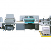 Стапелеукладчик Datien DUL в линии с бумагорезальной машиной